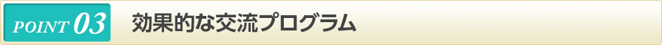 効果的な交流プログラム